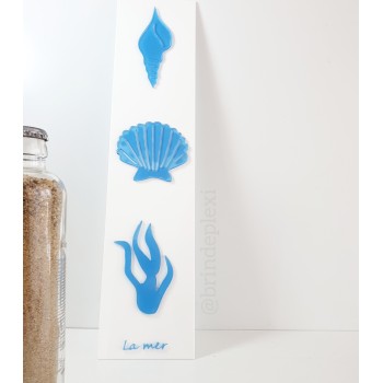 Affiche coquillages plexiglas