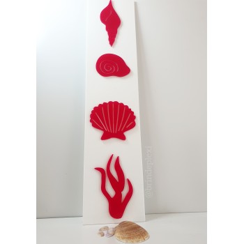 Affiche coquillages plexiglas