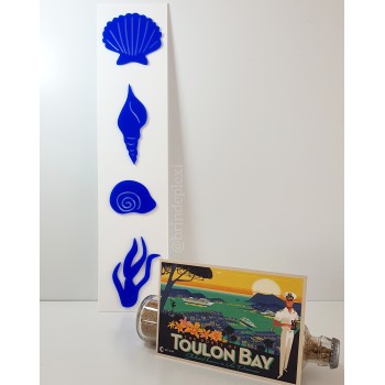 Affiche coquillages plexiglas